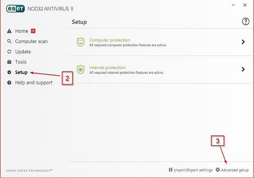 ESET Setup, Advanced Setup